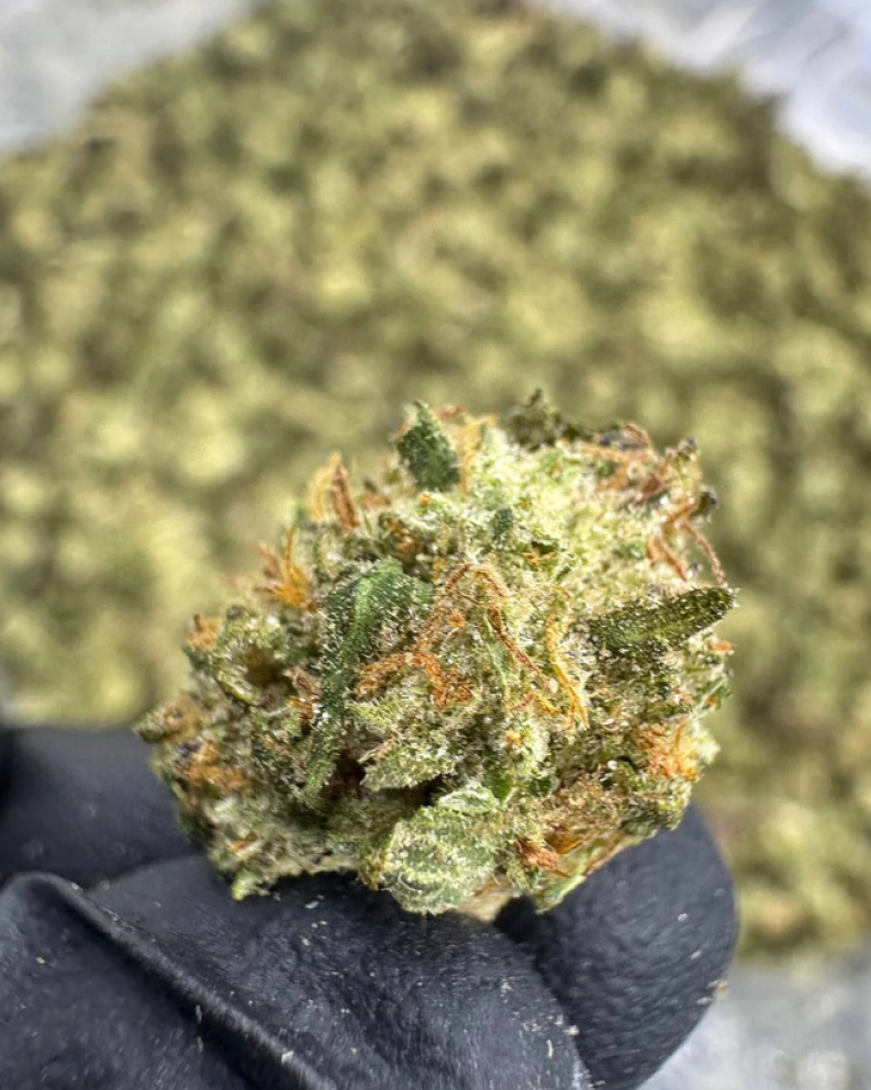 Amsterdam Express 23.4% THC-A Kvet