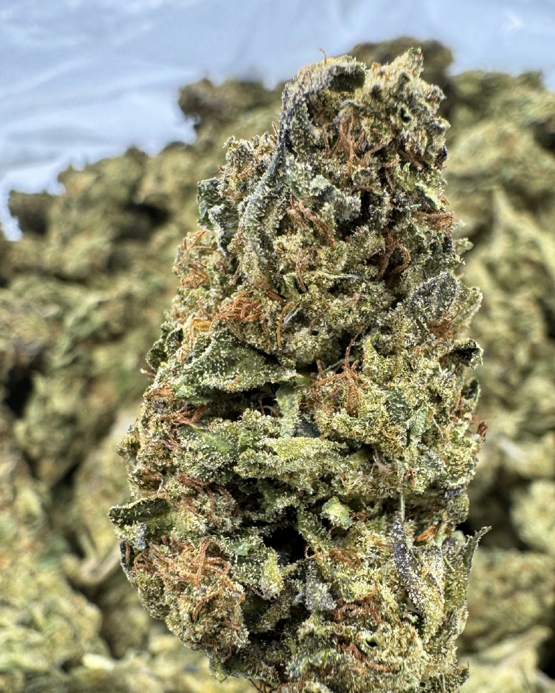 Satori 24.5% THC-A Kvet