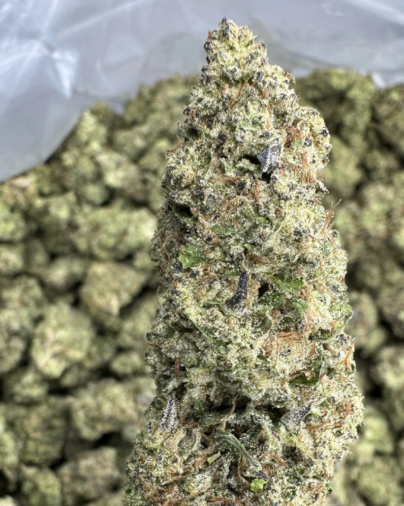 Snodrom 24.2% THC-A Flower